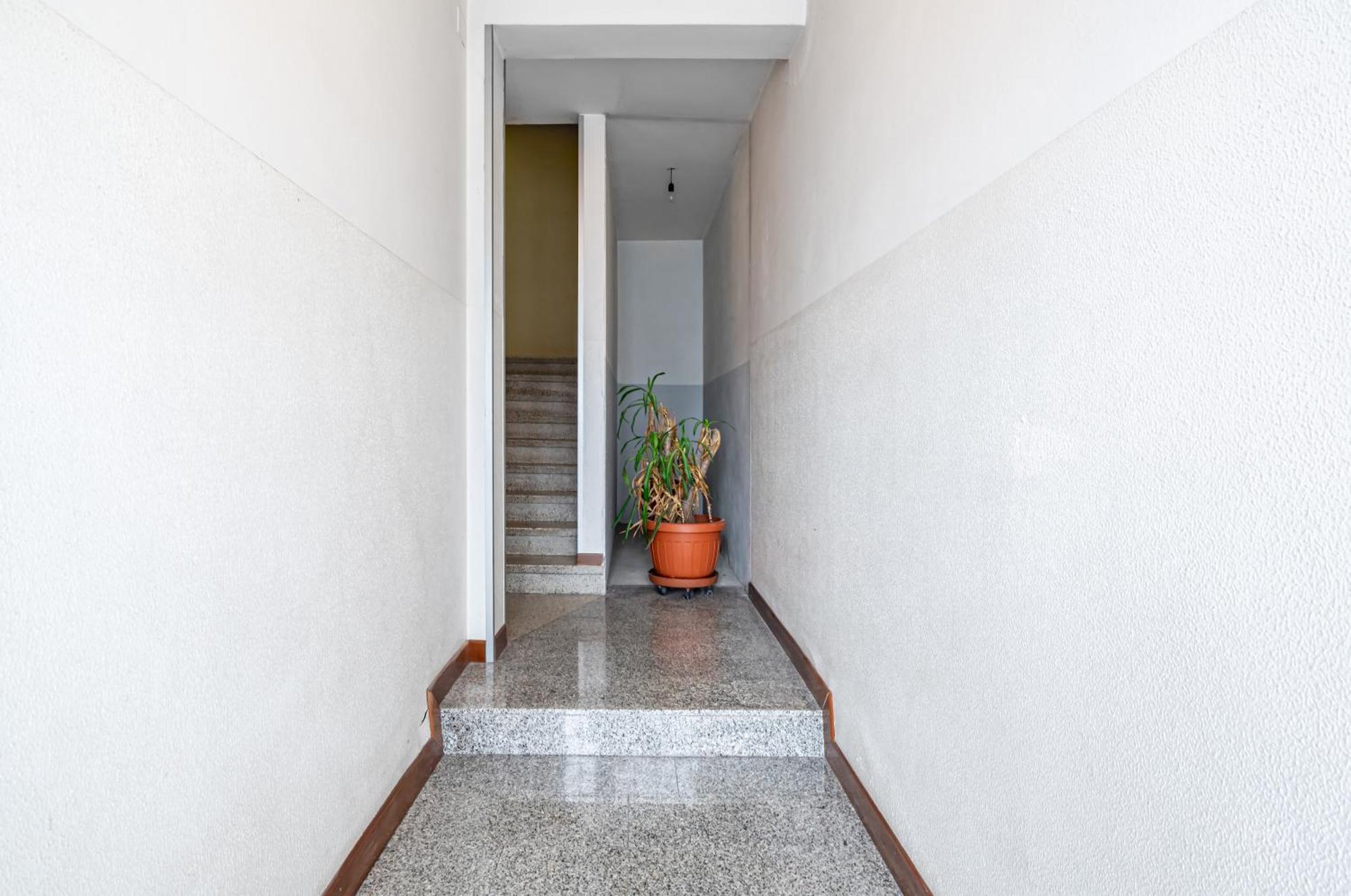 San Vincenzo Apartments 1 - 2 - 4 Vigonza Exterior photo